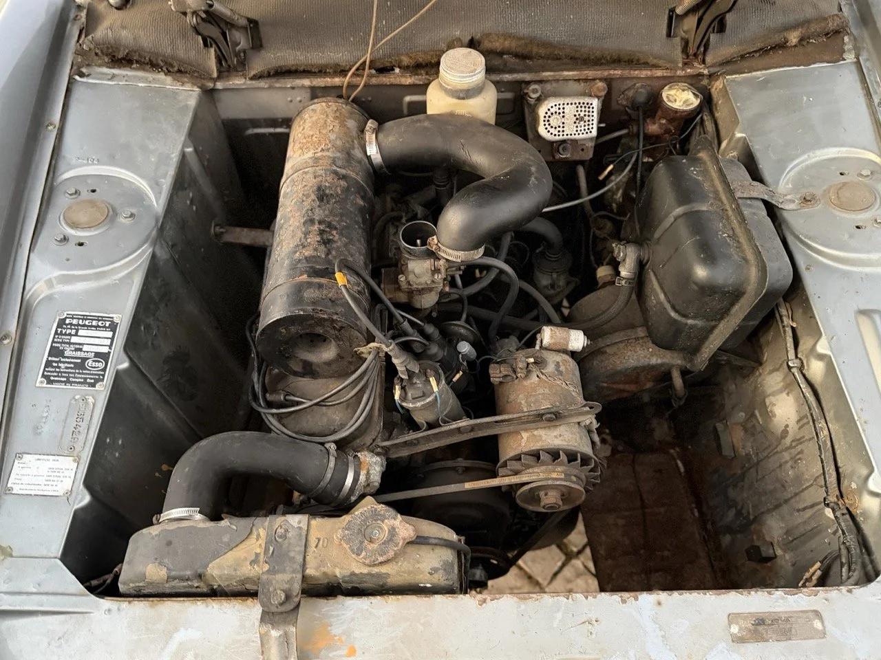 IMG_7505 – grande.jpeg