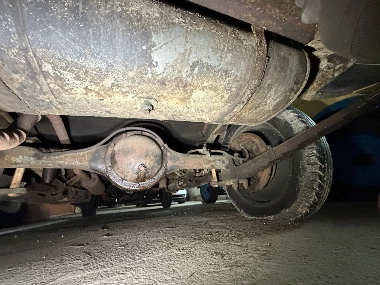 IMG_2500 – grande.jpeg