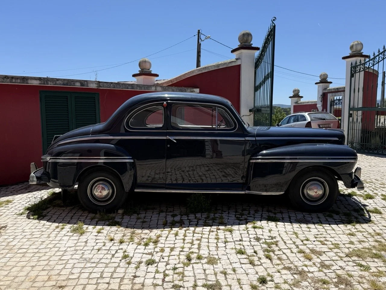 IMG_5688 – grande.jpeg