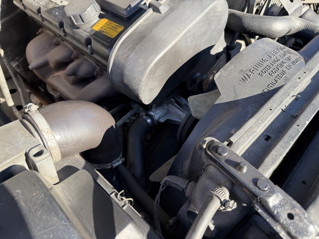 IMG_1985 – grande.jpeg