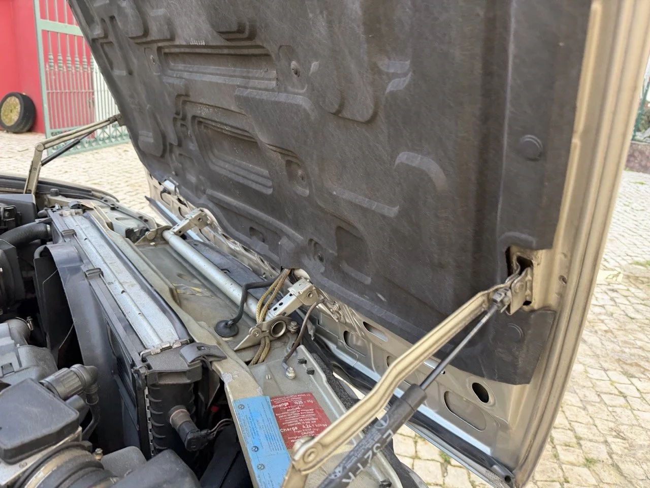 IMG_6986 2 – grande.jpeg