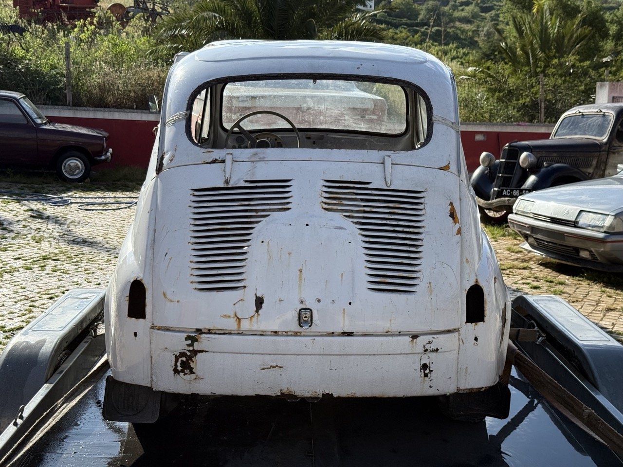IMG_5056 – grande.jpeg