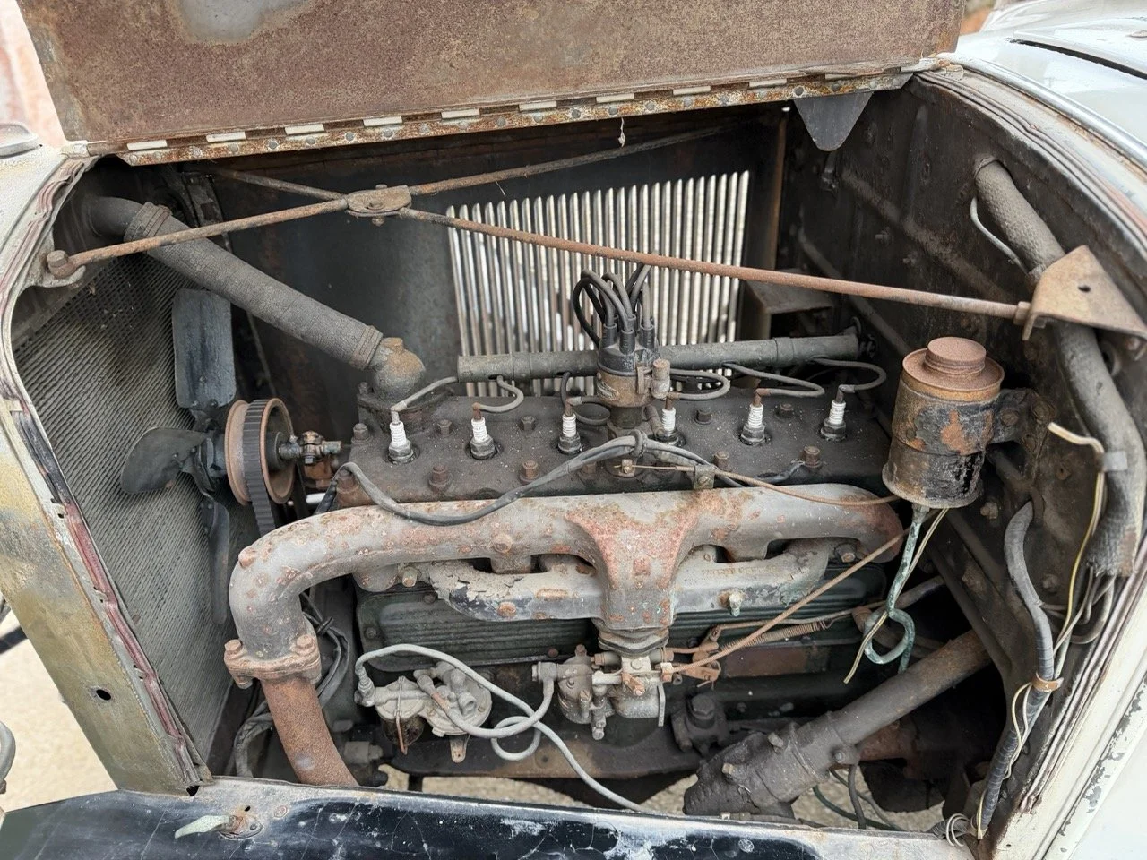 IMG_1698 – grande.jpeg