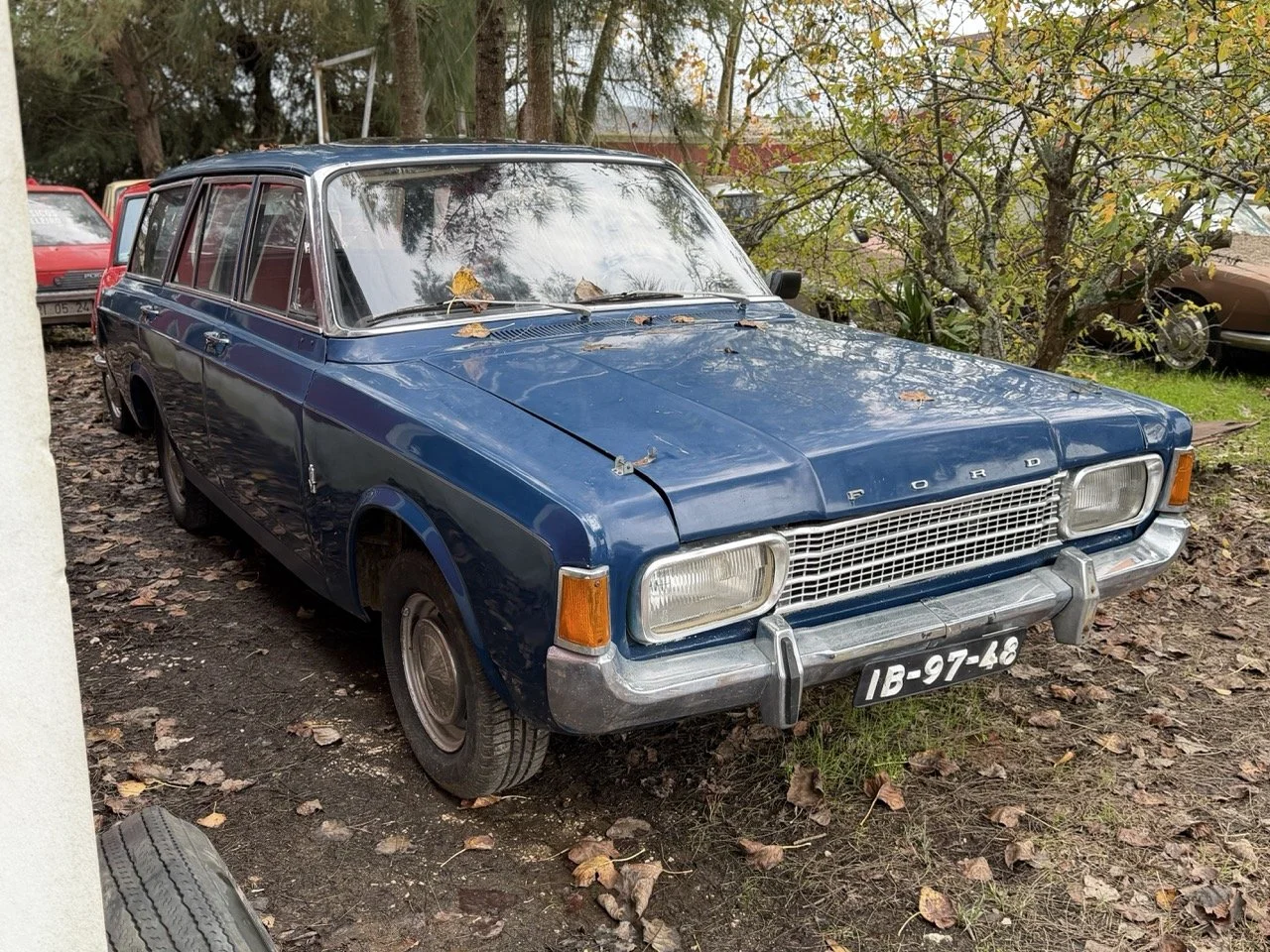 IMG_4928 – grande.jpeg