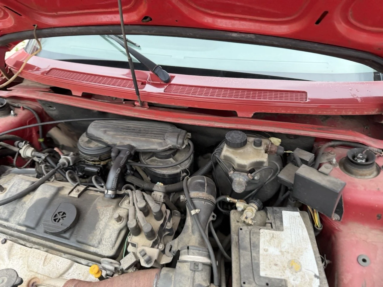 IMG_3603 – grande.jpeg