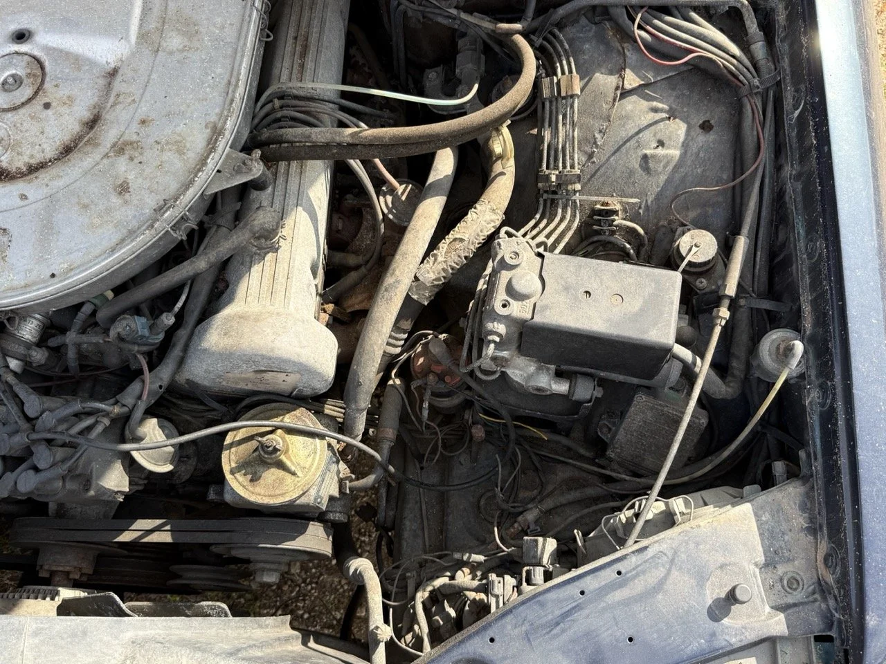 IMG_3421 – grande.jpeg