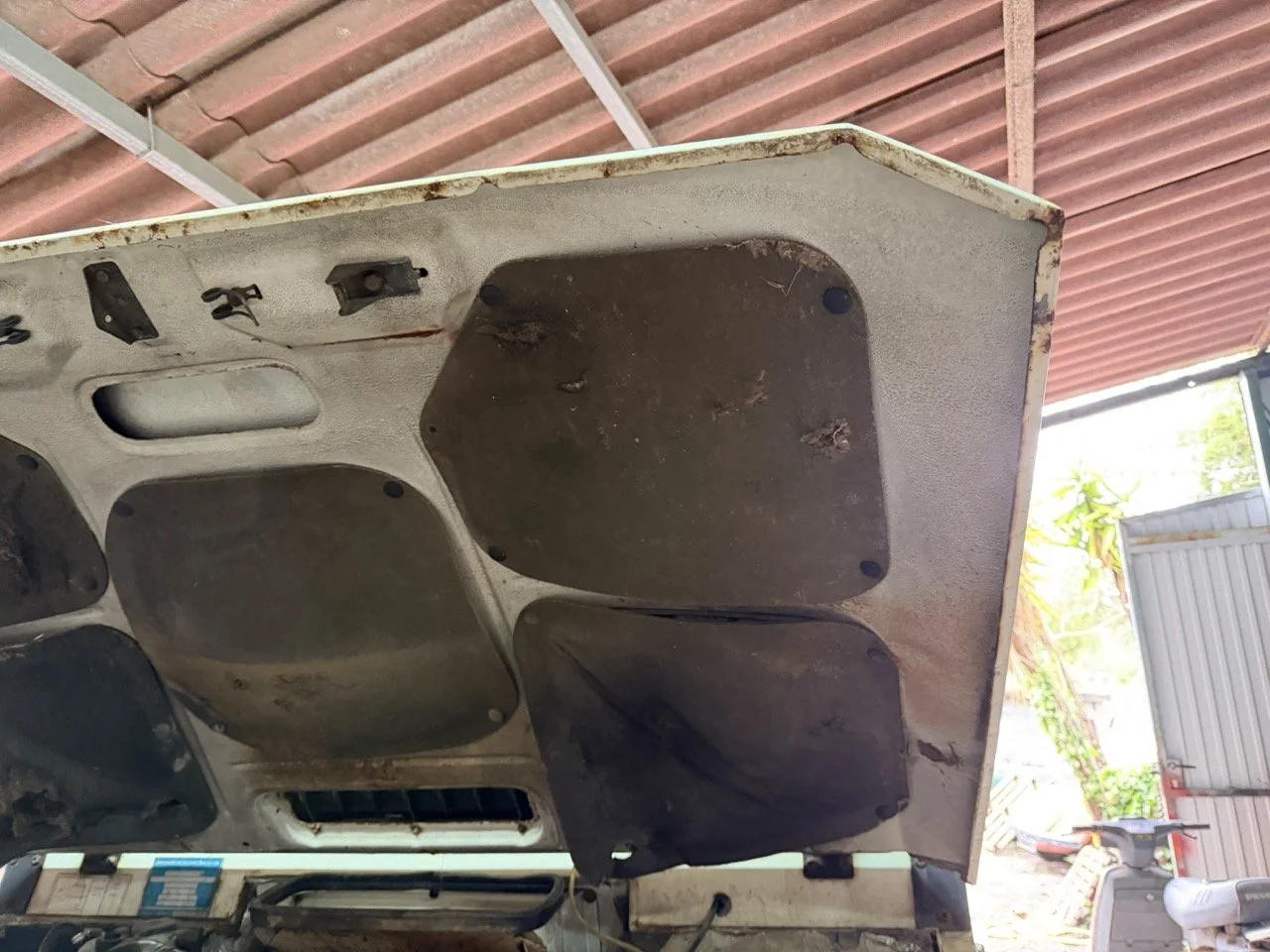 IMG_5207 – grande.jpeg