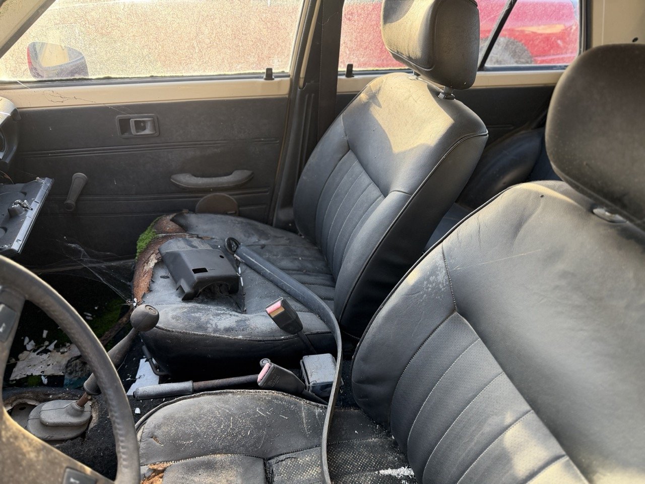 IMG_4031 – grande.jpeg