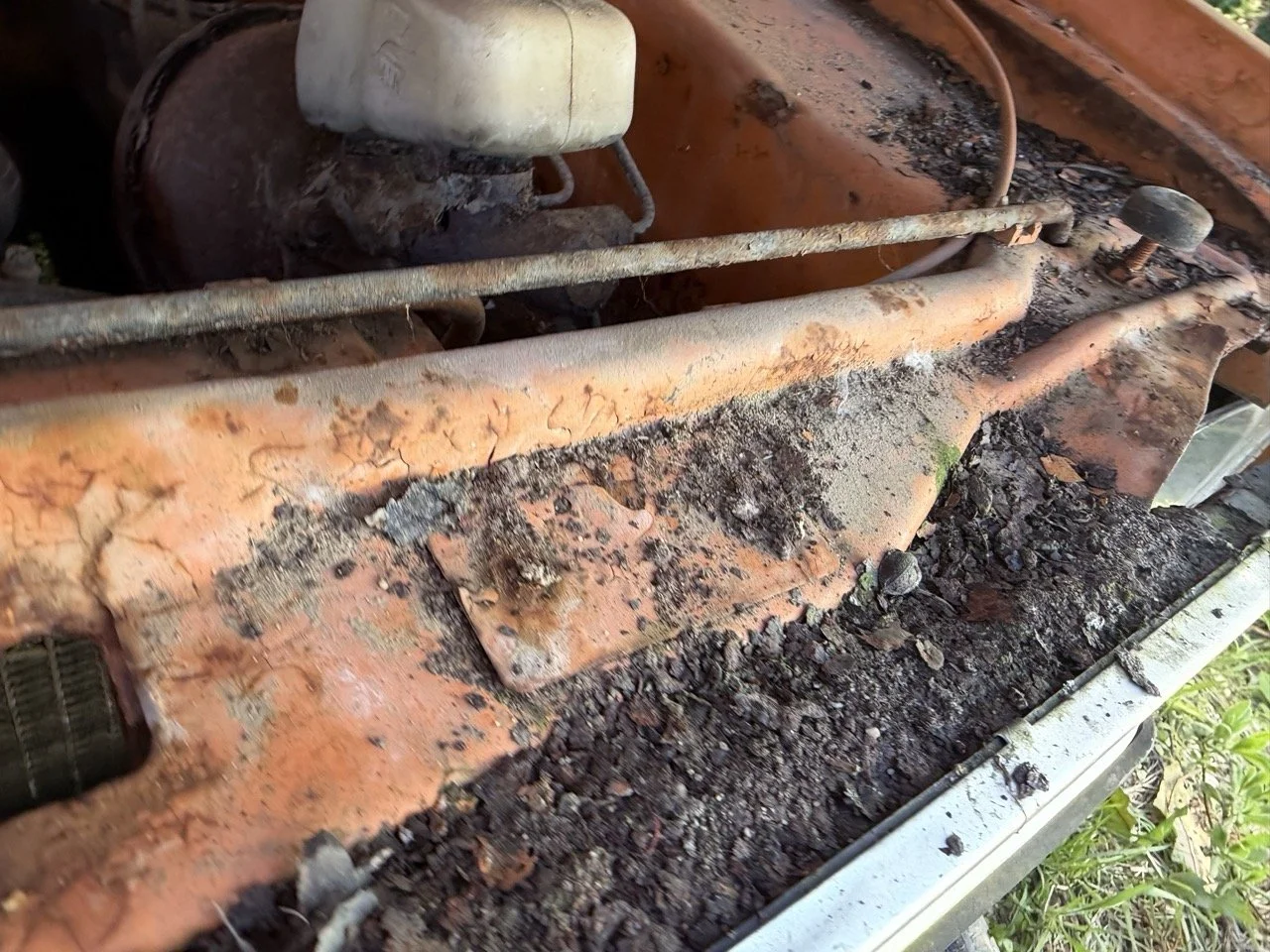 IMG_7723 – grande.jpeg