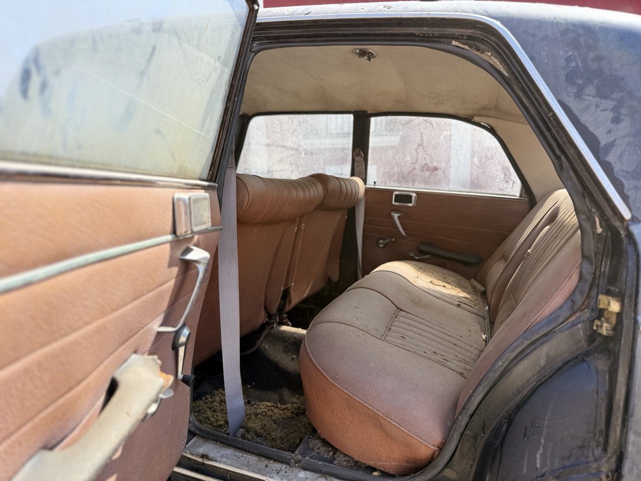 IMG_3472 – grande.jpeg