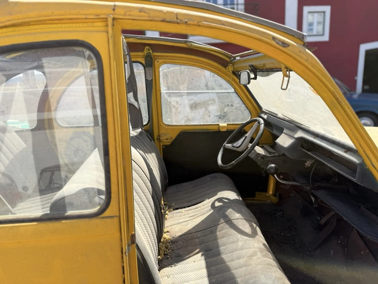 IMG_9117 – grande.jpeg