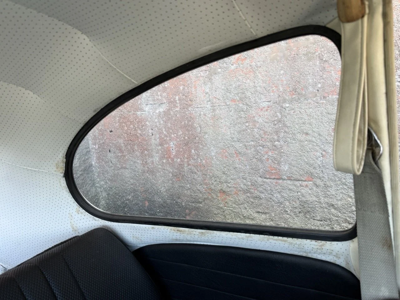 IMG_0696 – grande.jpeg