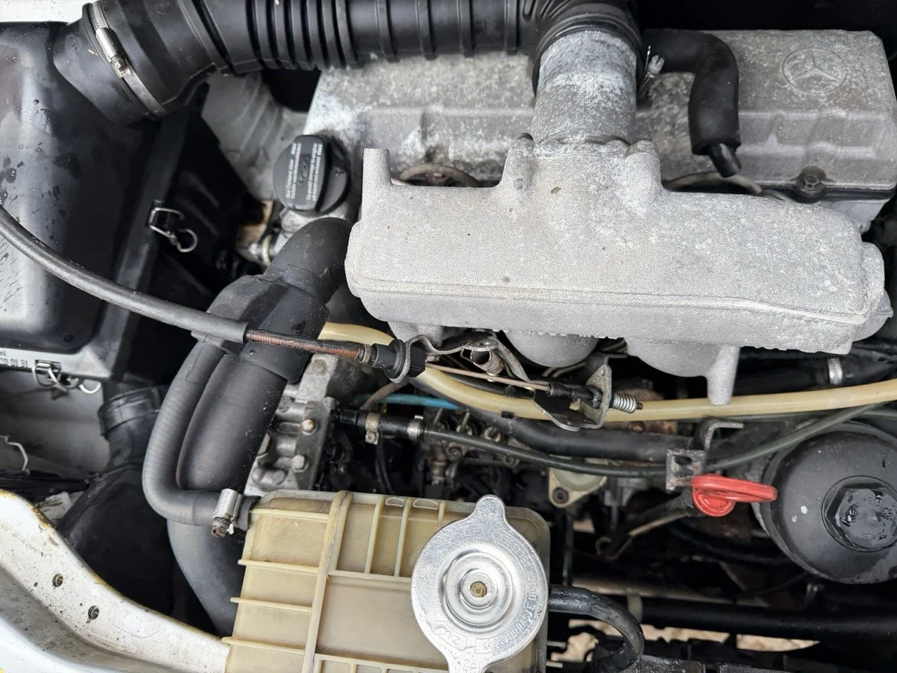 IMG_9564 – grande.jpeg