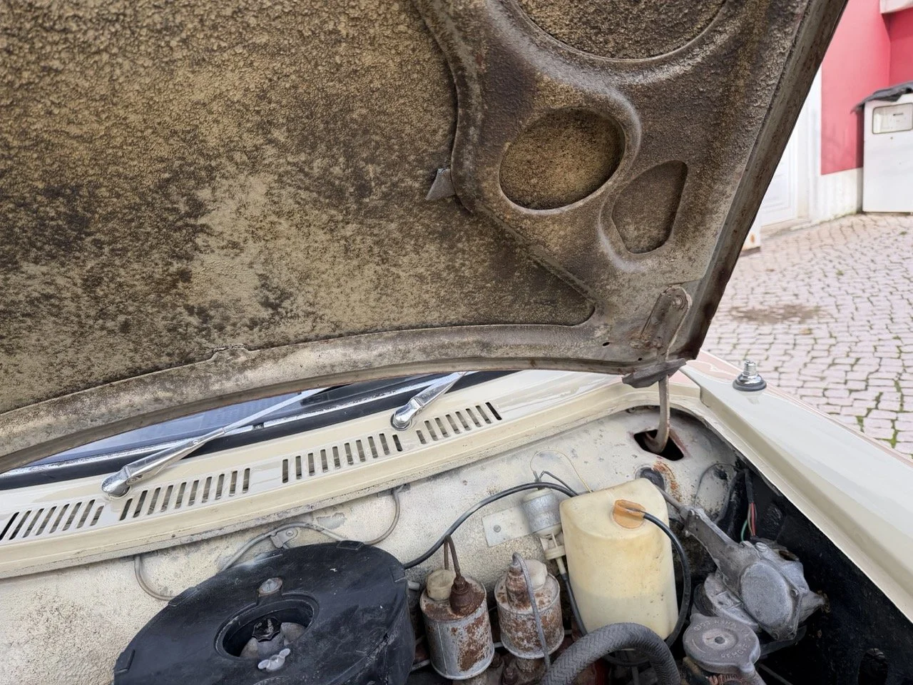 IMG_4079 – grande.jpeg