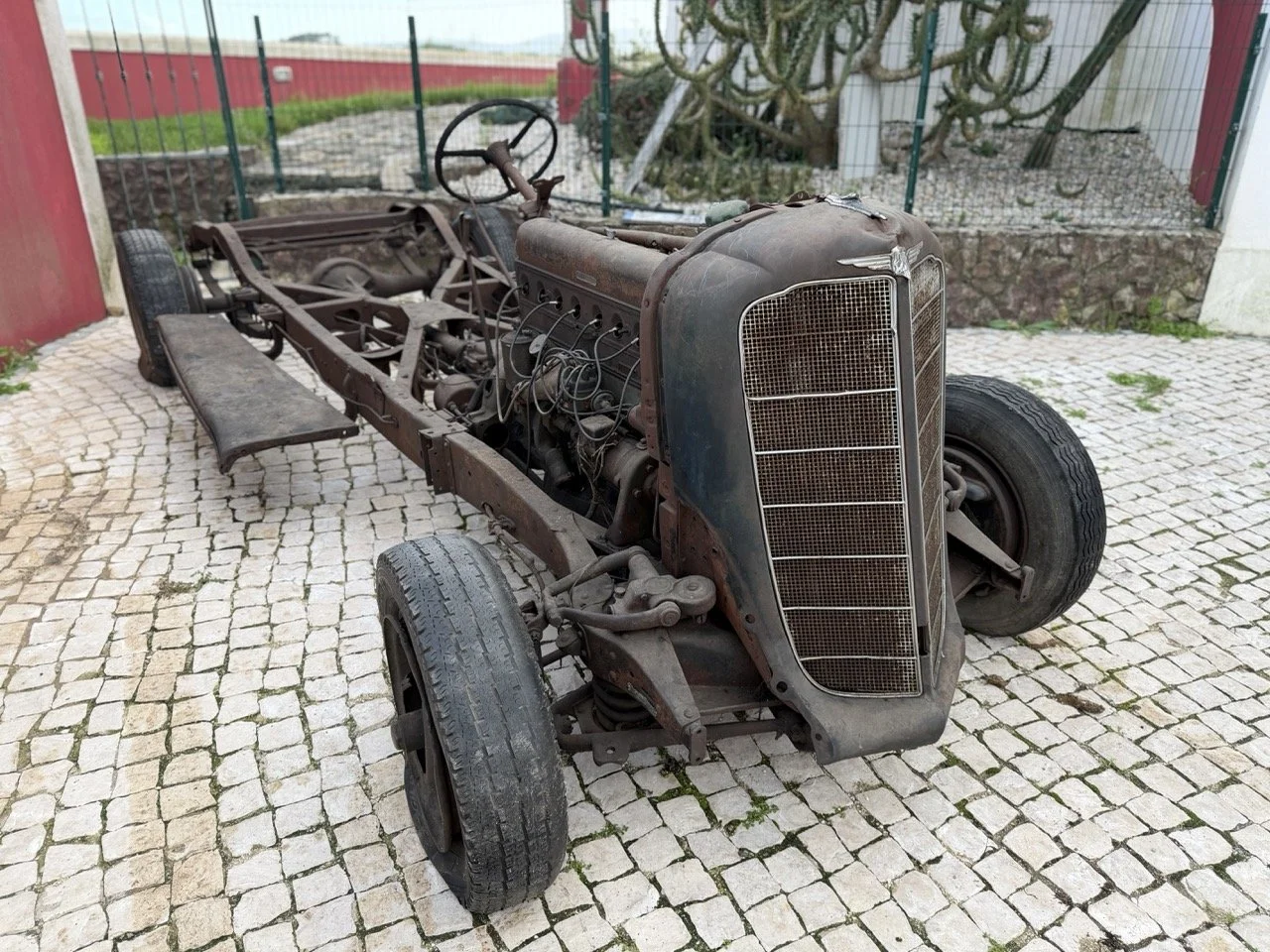 IMG_7051 – grande.jpeg