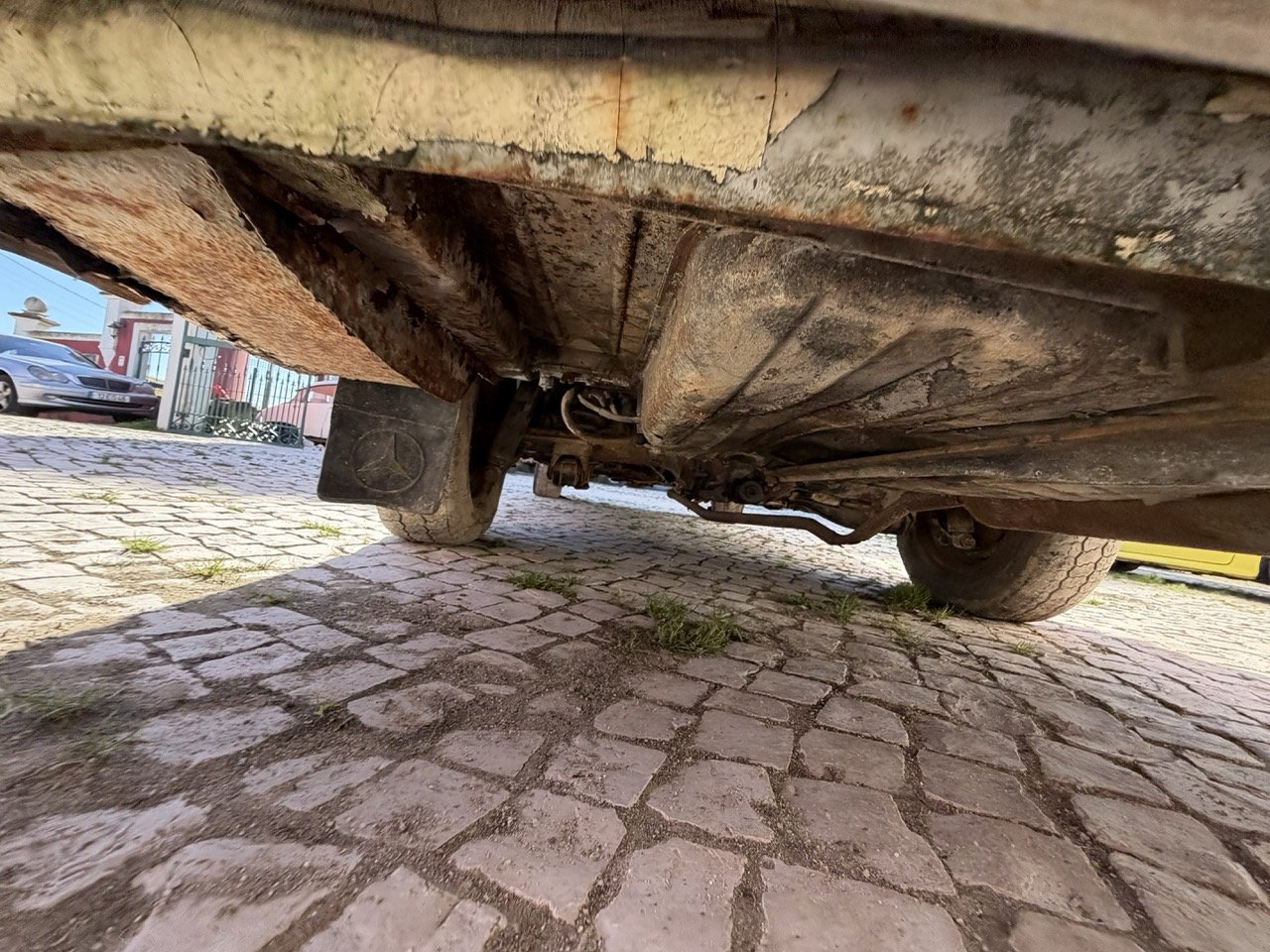 IMG_7075 – grande.jpeg