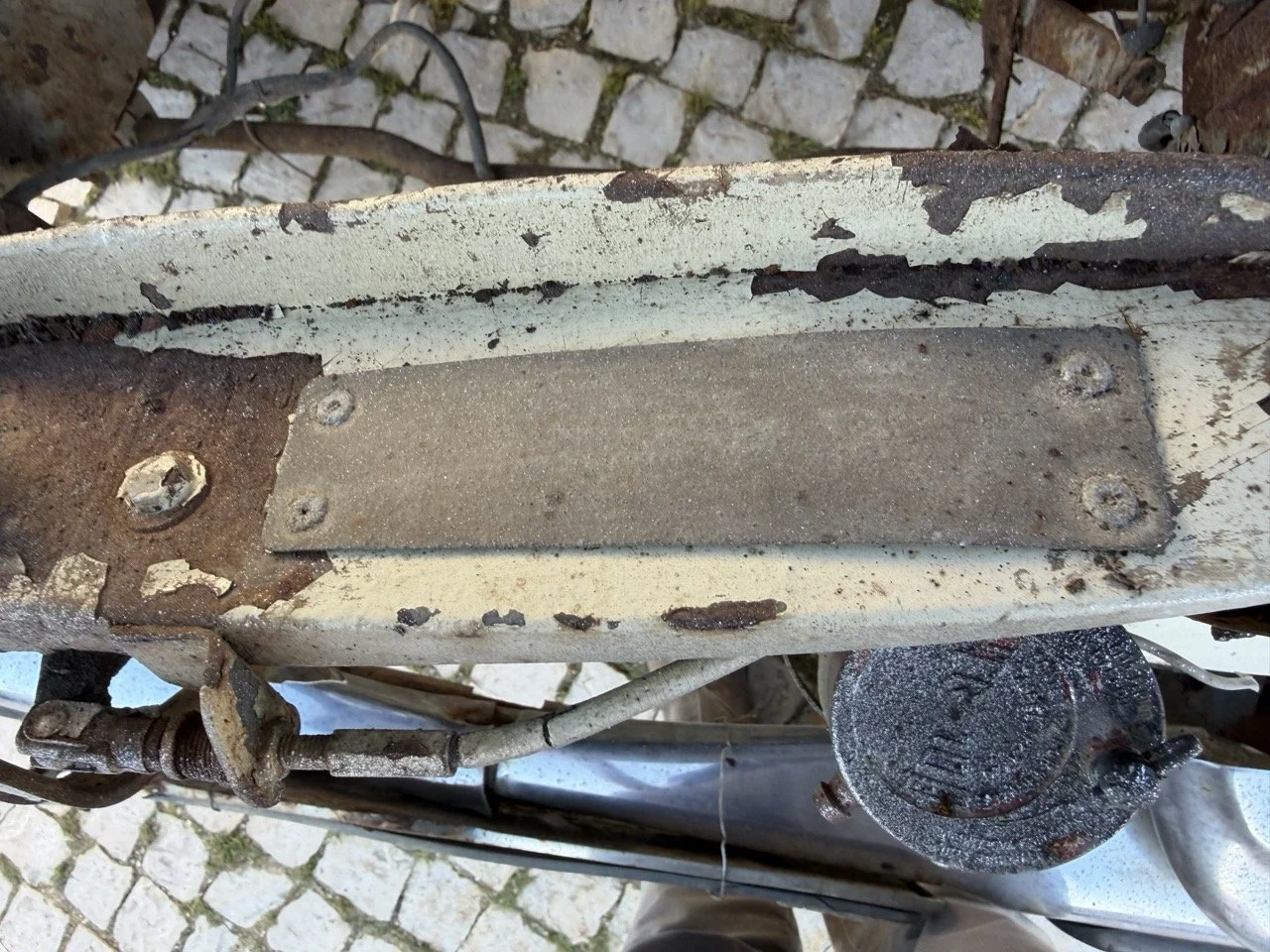 IMG_7099 – grande.jpeg