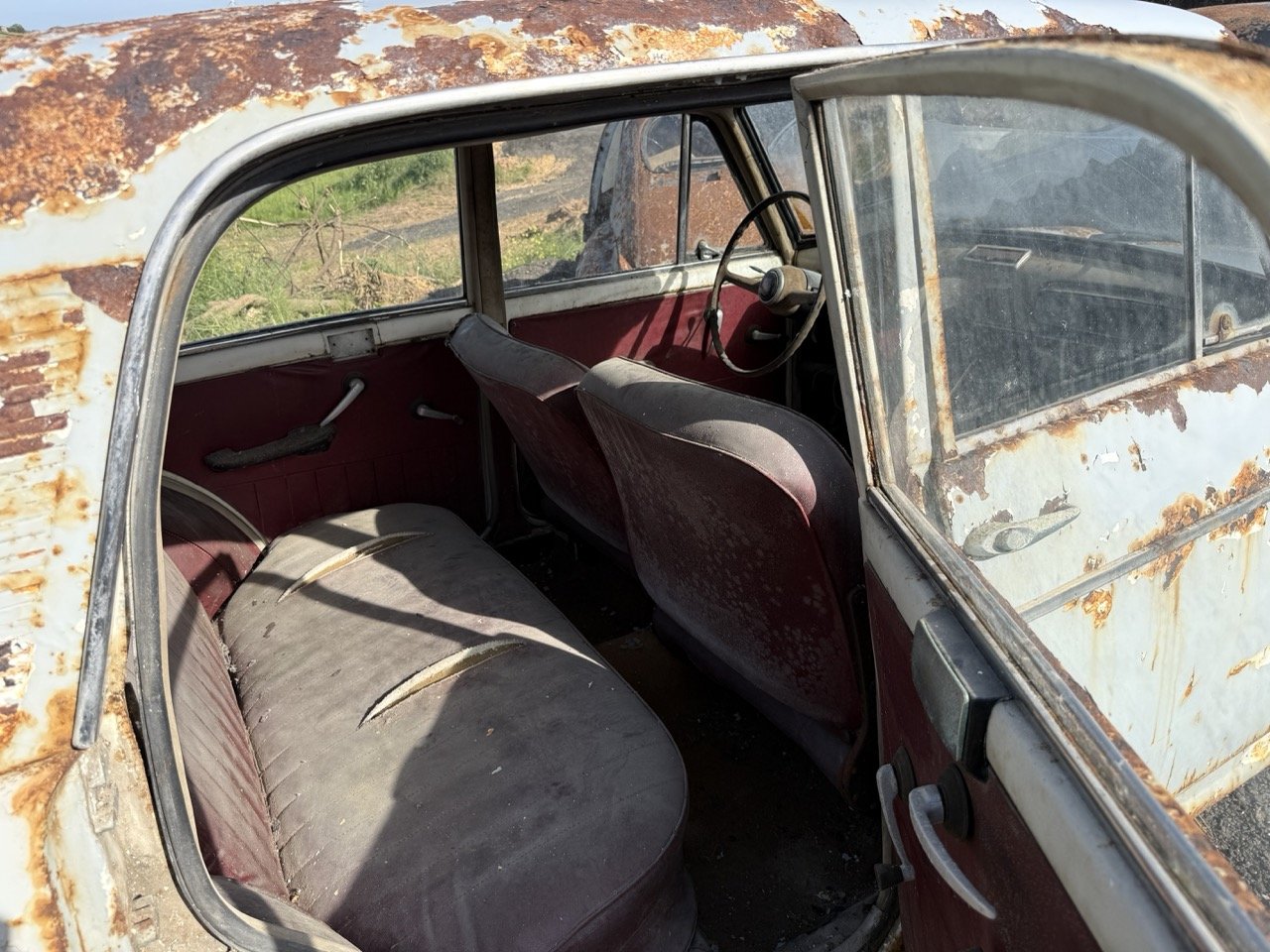 IMG_0492 – grande.jpeg