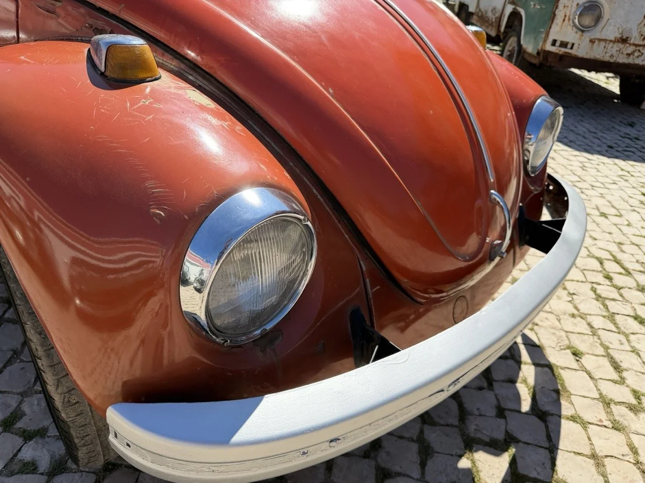 IMG_7596 – grande.jpeg