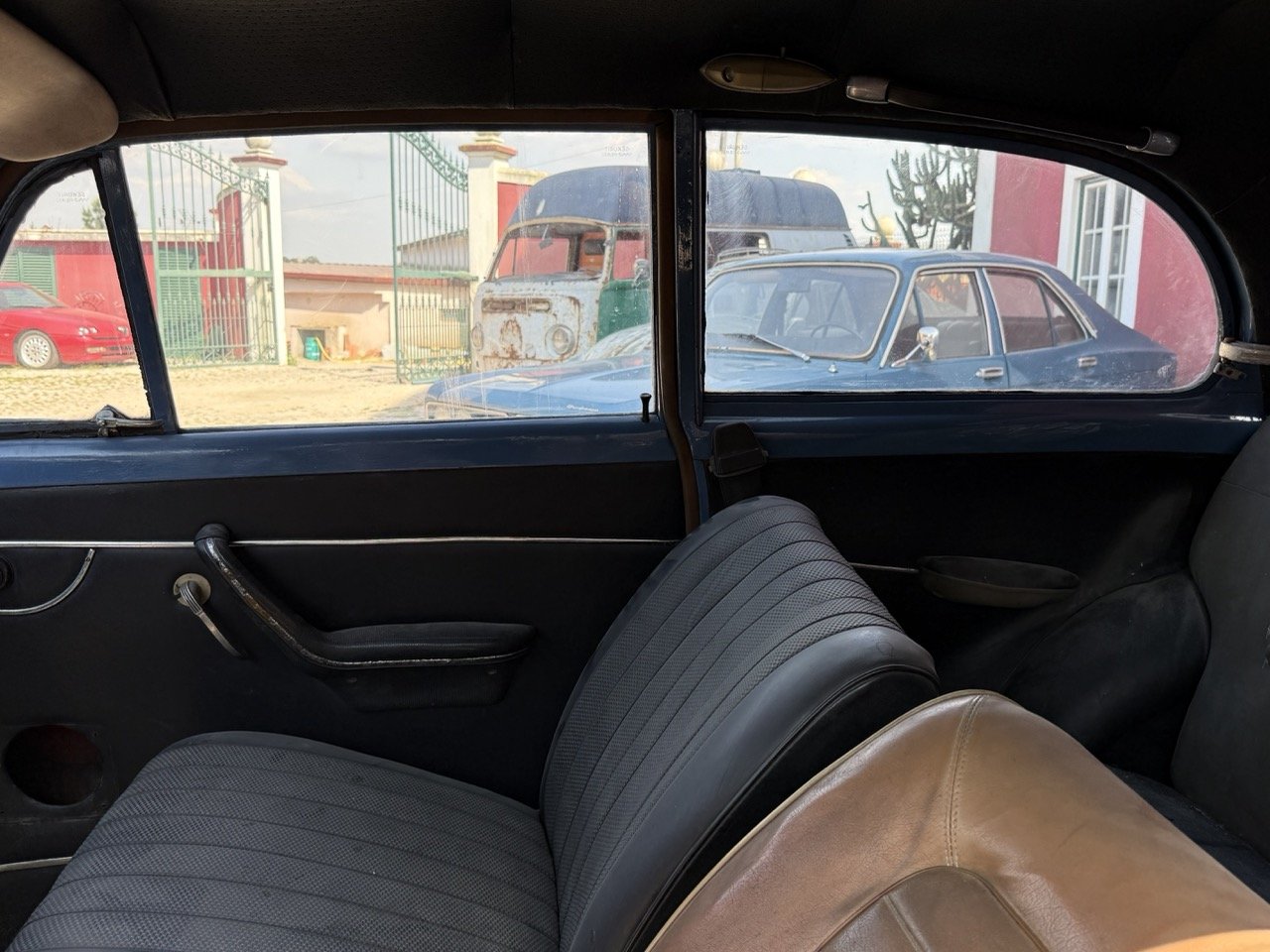 IMG_3552 – grande.jpeg