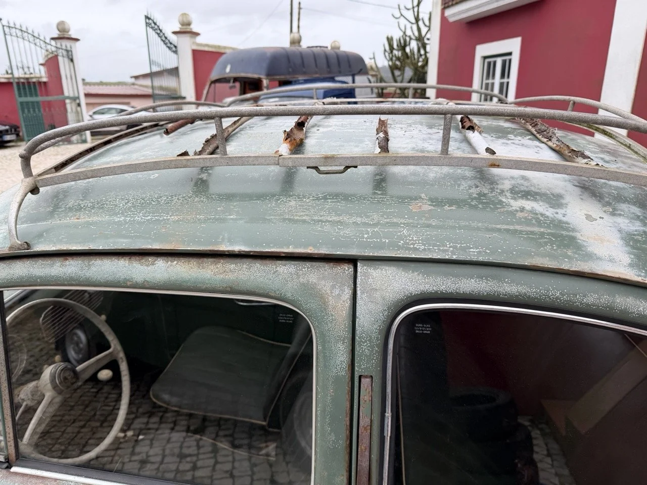 IMG_1194 – grande.jpeg