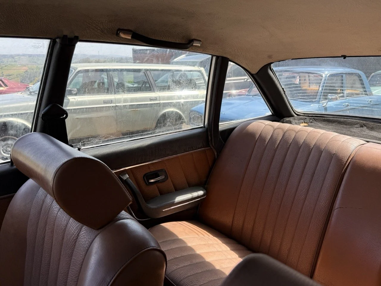 IMG_0580 – grande.jpeg