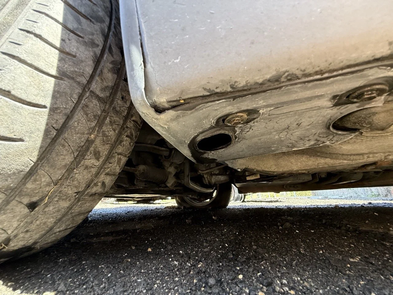 IMG_1795 – grande.jpeg