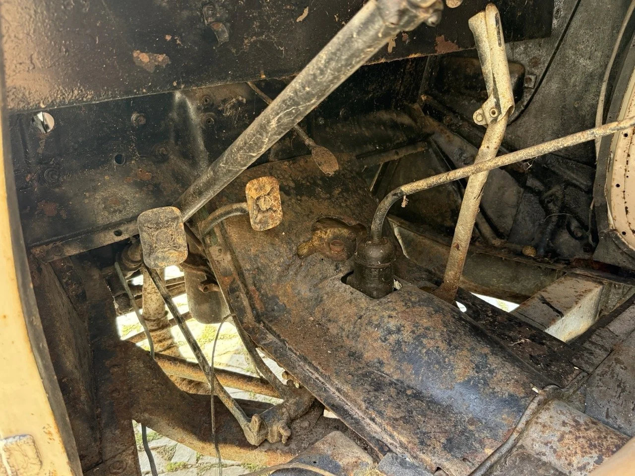 IMG_3716 – grande.jpeg