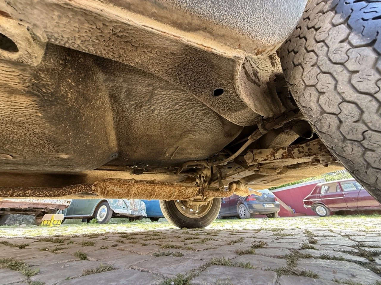 IMG_2360 – grande.jpeg