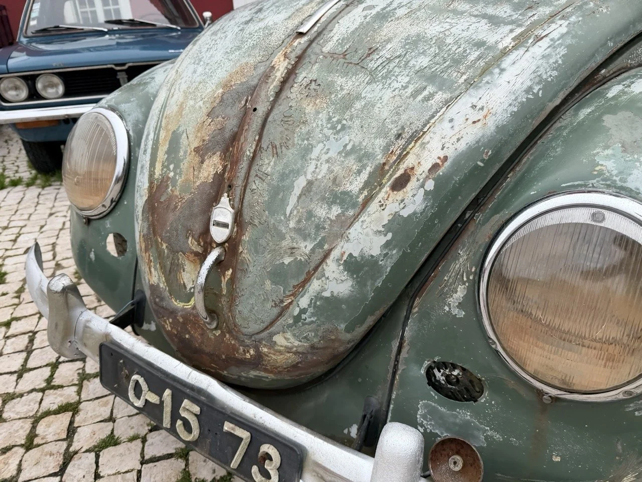 IMG_1206 – grande.jpeg