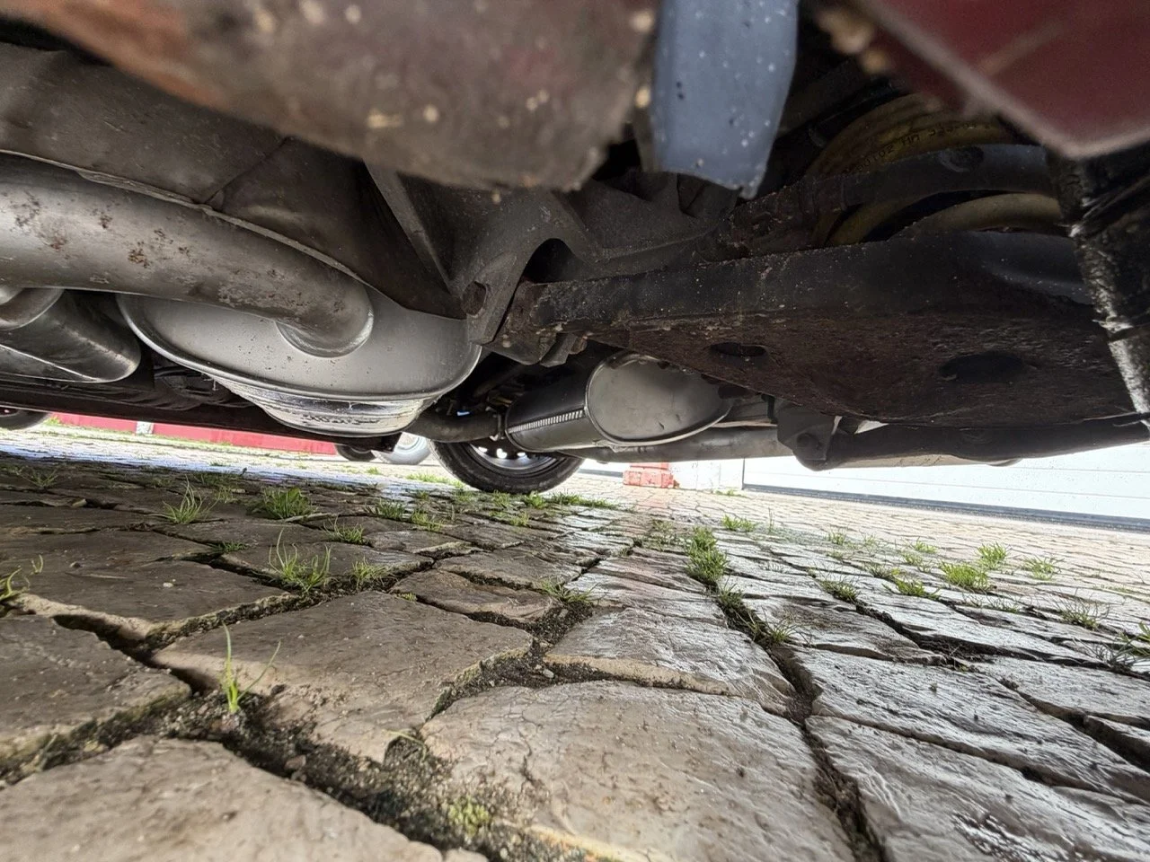 IMG_2323 – grande.jpeg