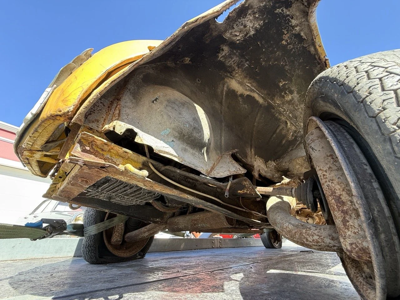 IMG_9121 – grande.jpeg