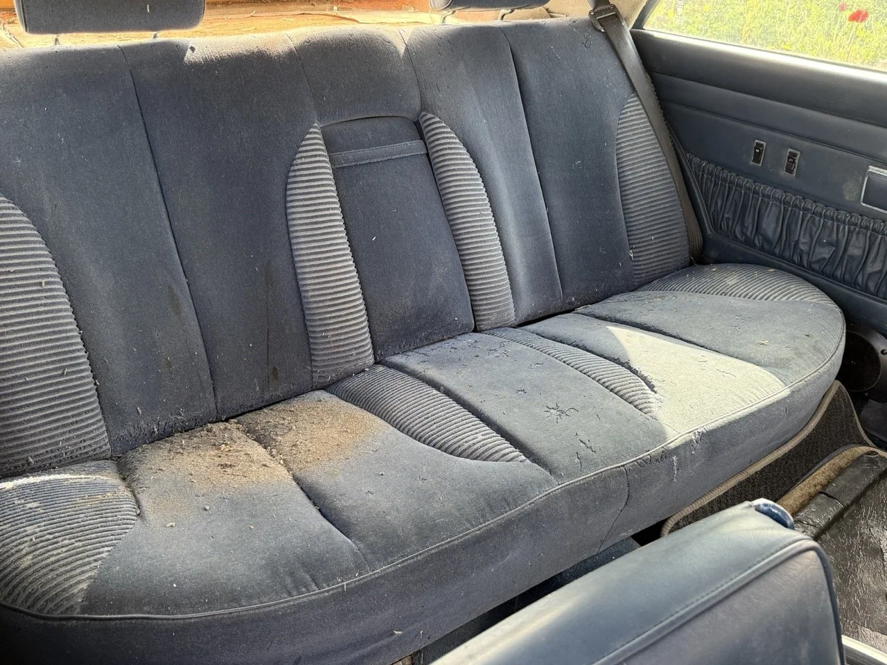 IMG_3436 – grande.jpeg