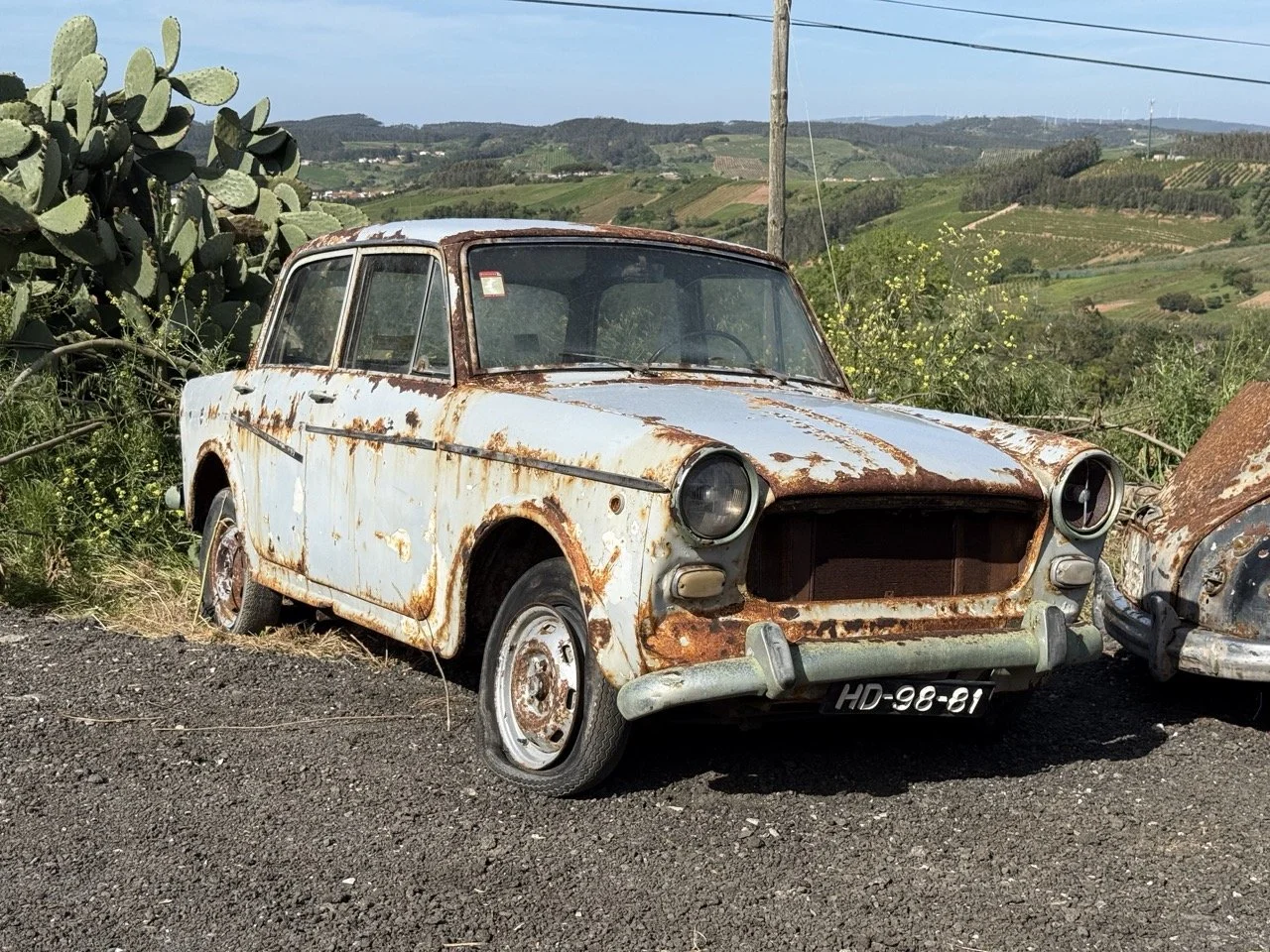 IMG_0478 – grande.jpeg