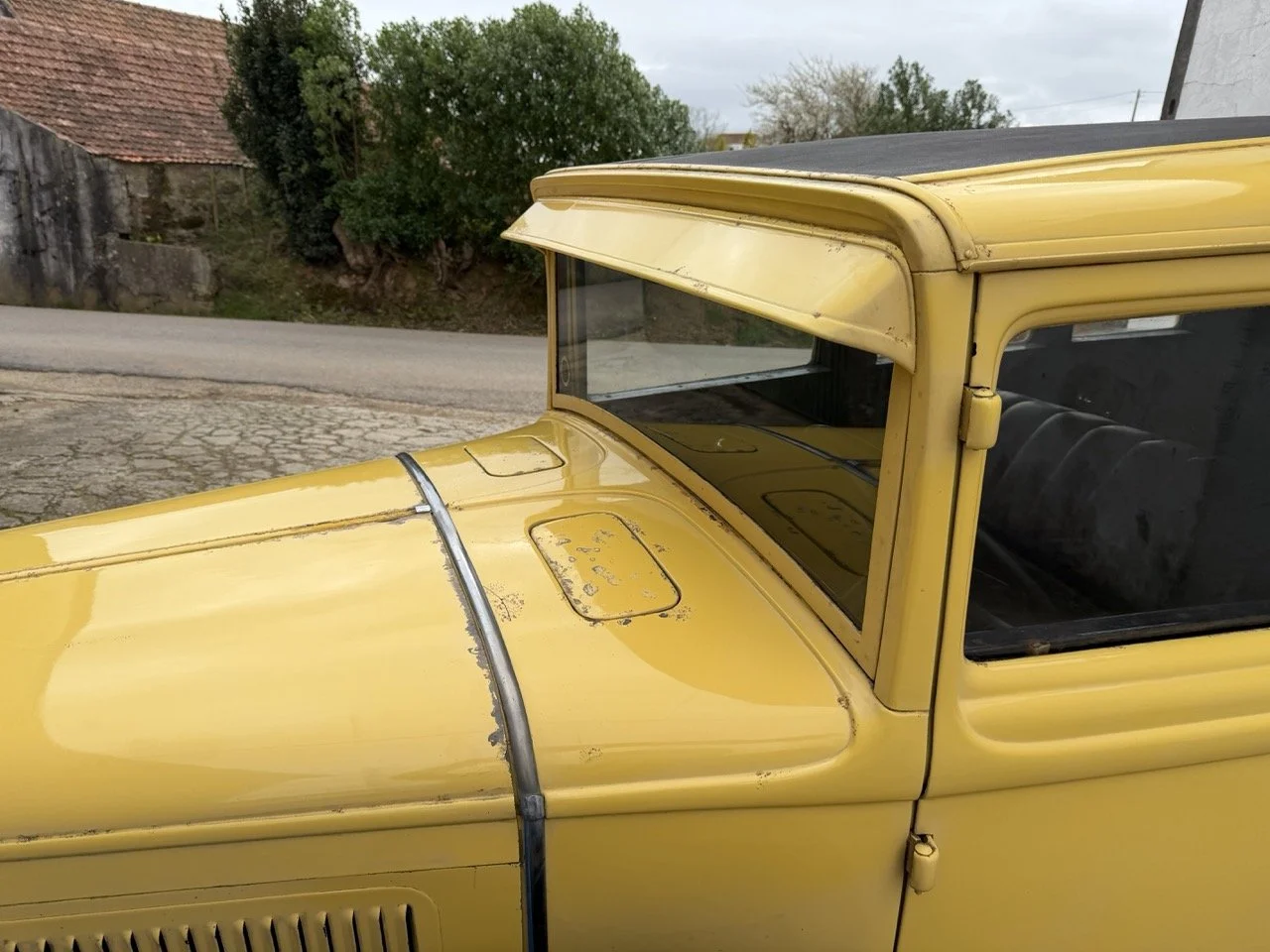 IMG_1575 – grande.jpeg