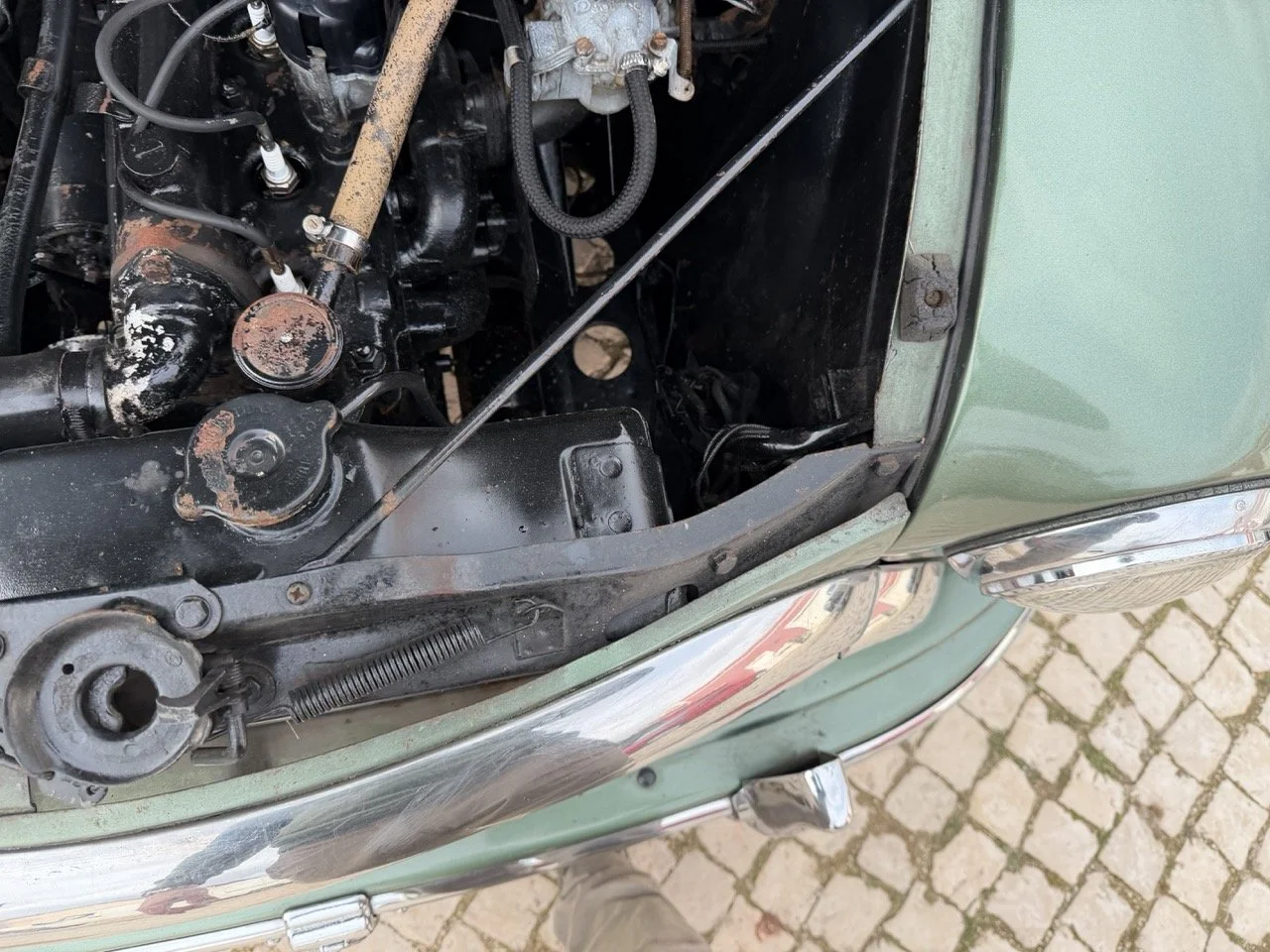 IMG_9844 – grande.jpeg