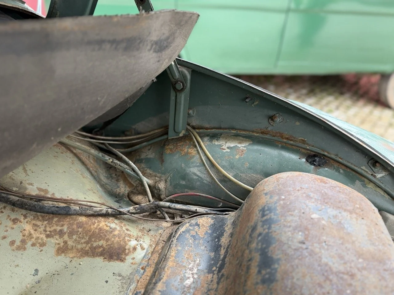 IMG_1174 – grande.jpeg