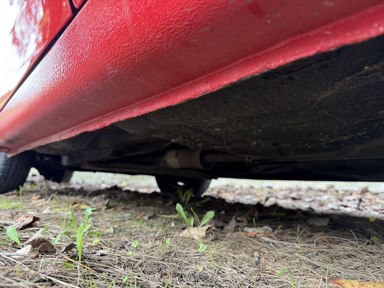 IMG_4951 – grande.jpeg