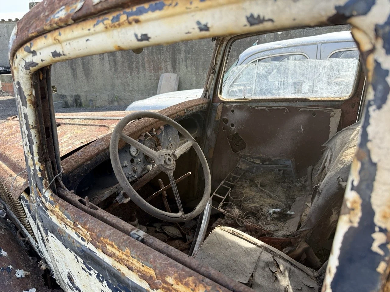 IMG_0363 – grande.jpeg