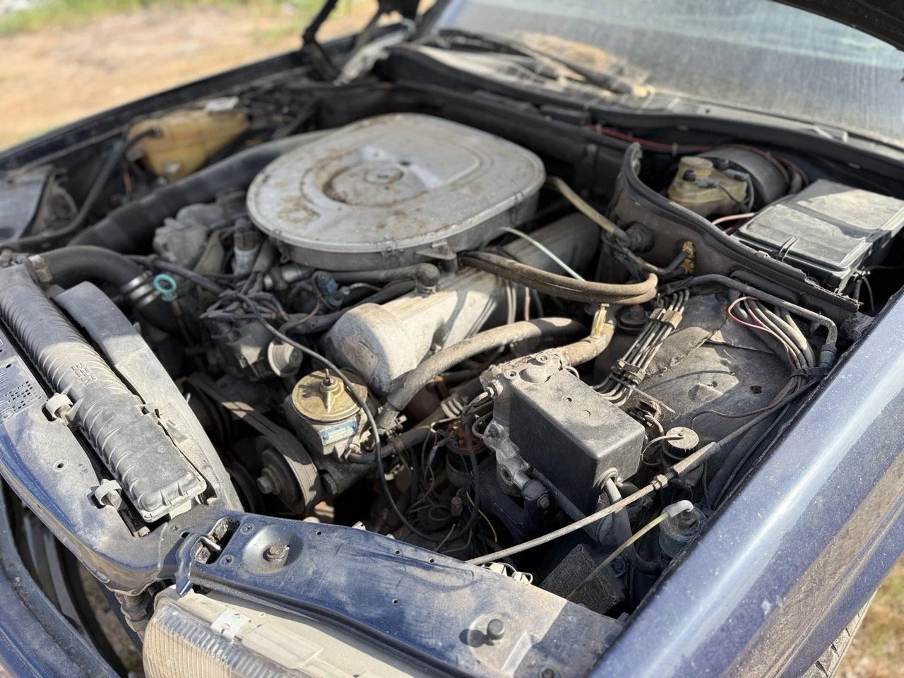 IMG_3389 – grande.jpeg