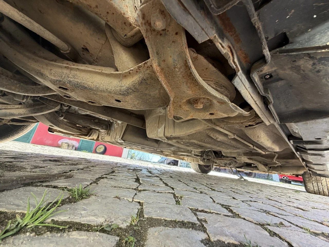 IMG_2821 – grande.jpeg