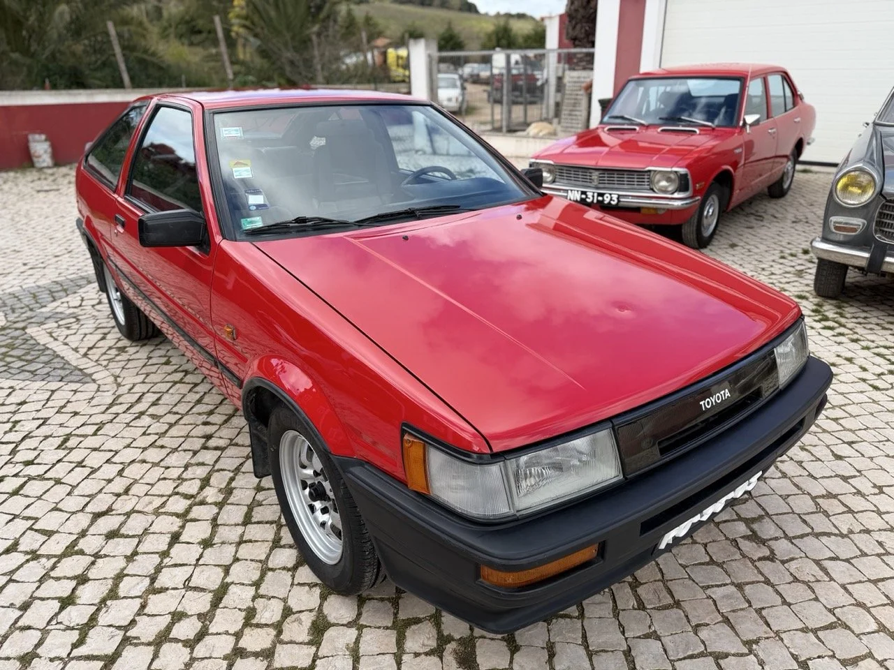 IMG_2410 – grande.jpeg