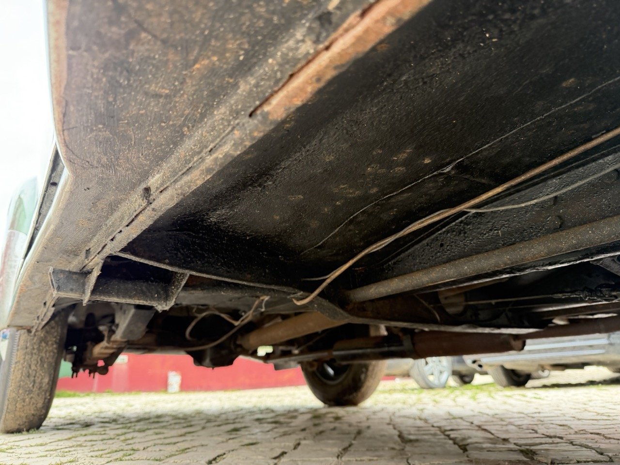 IMG_9892 – grande.jpeg