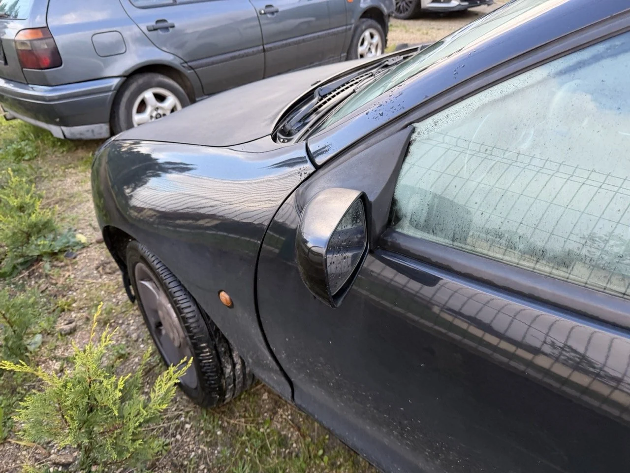 IMG_5339 – grande.jpeg