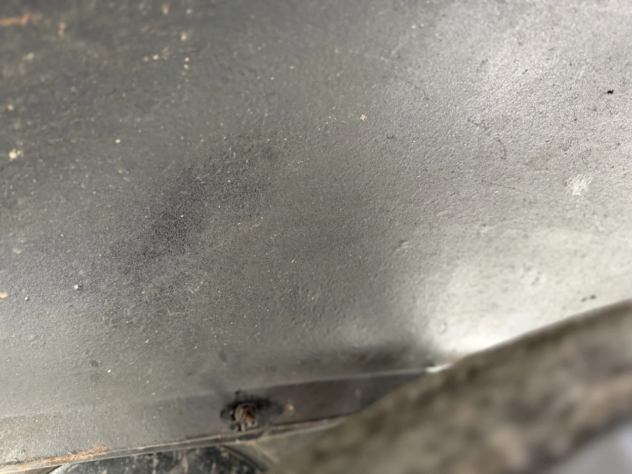 IMG_1477 – grande.jpeg