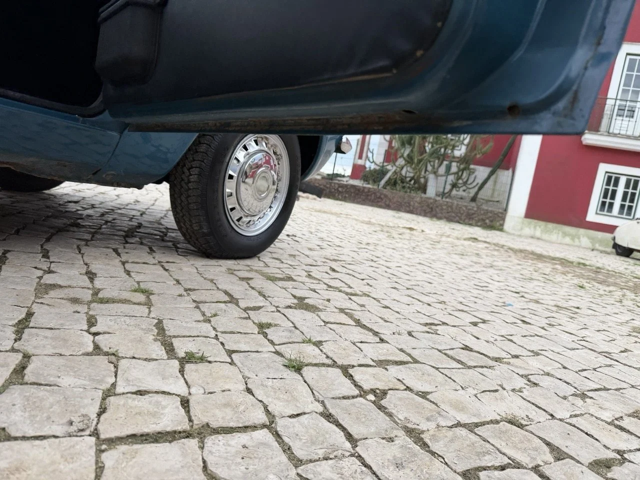 IMG_6374 – grande.jpeg