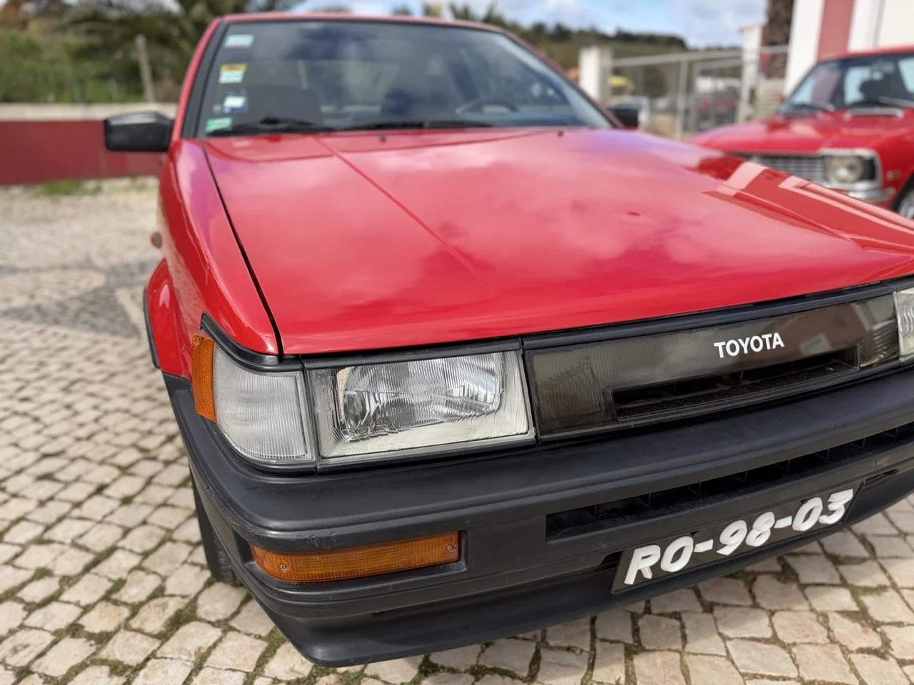 IMG_2385 – grande.jpeg