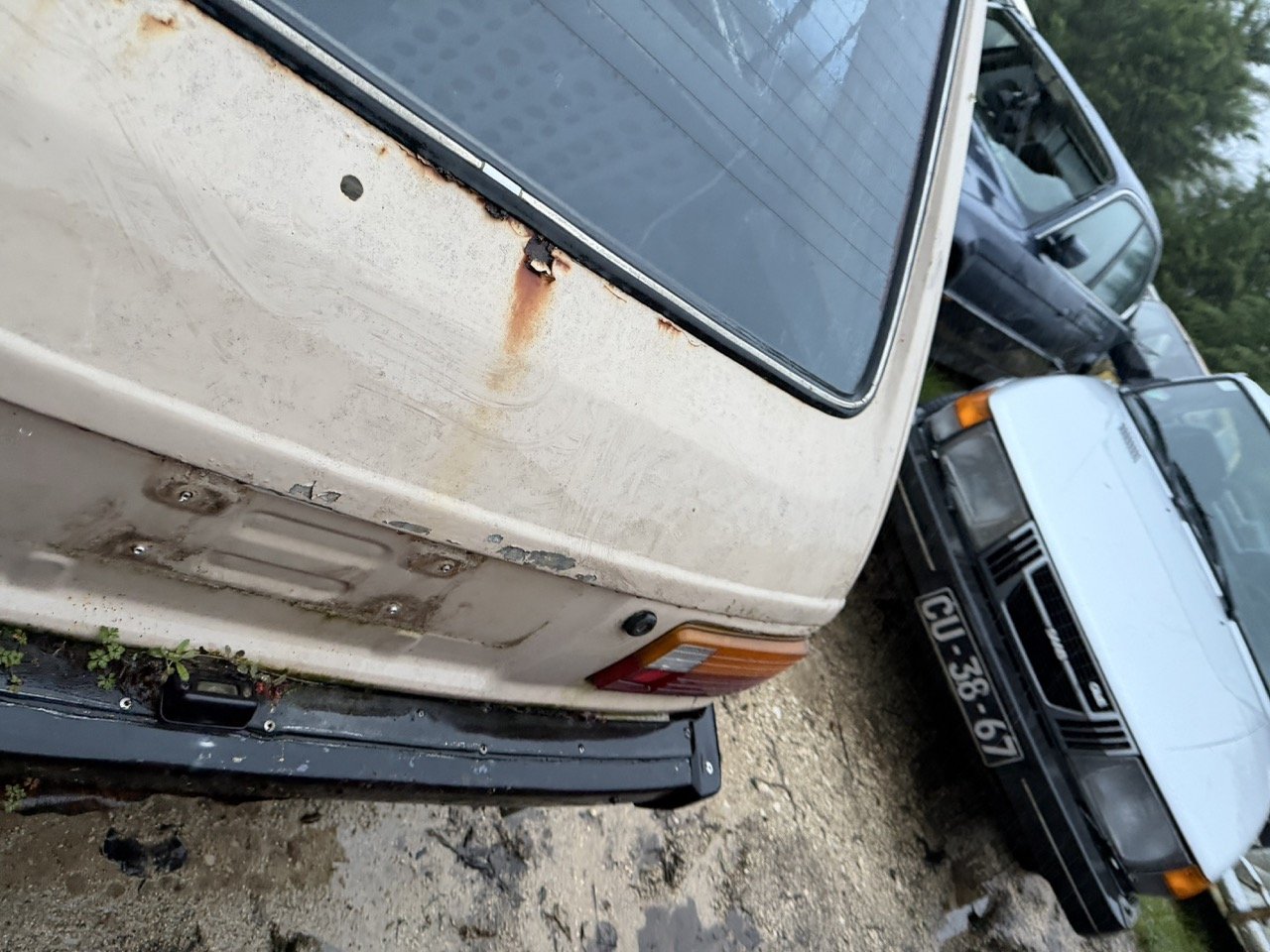 IMG_0196 – grande.jpeg