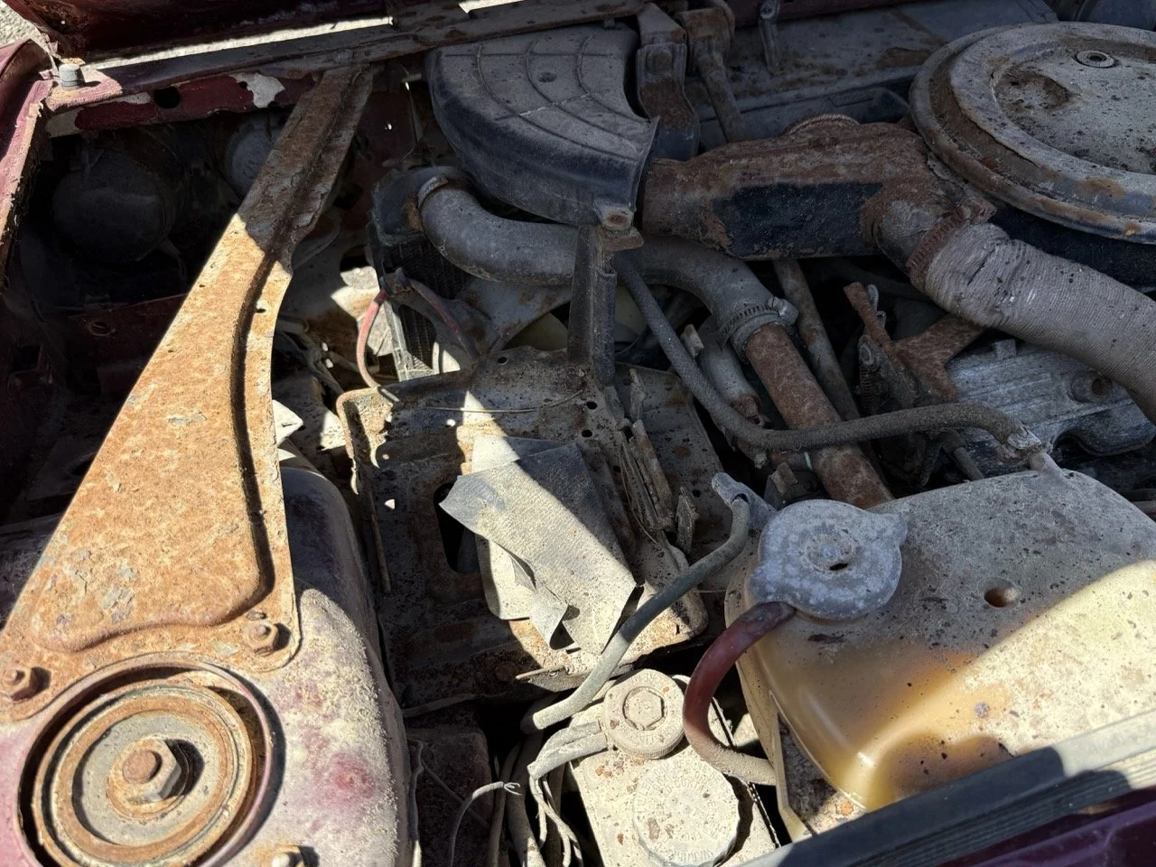 IMG_0929 – grande.jpeg