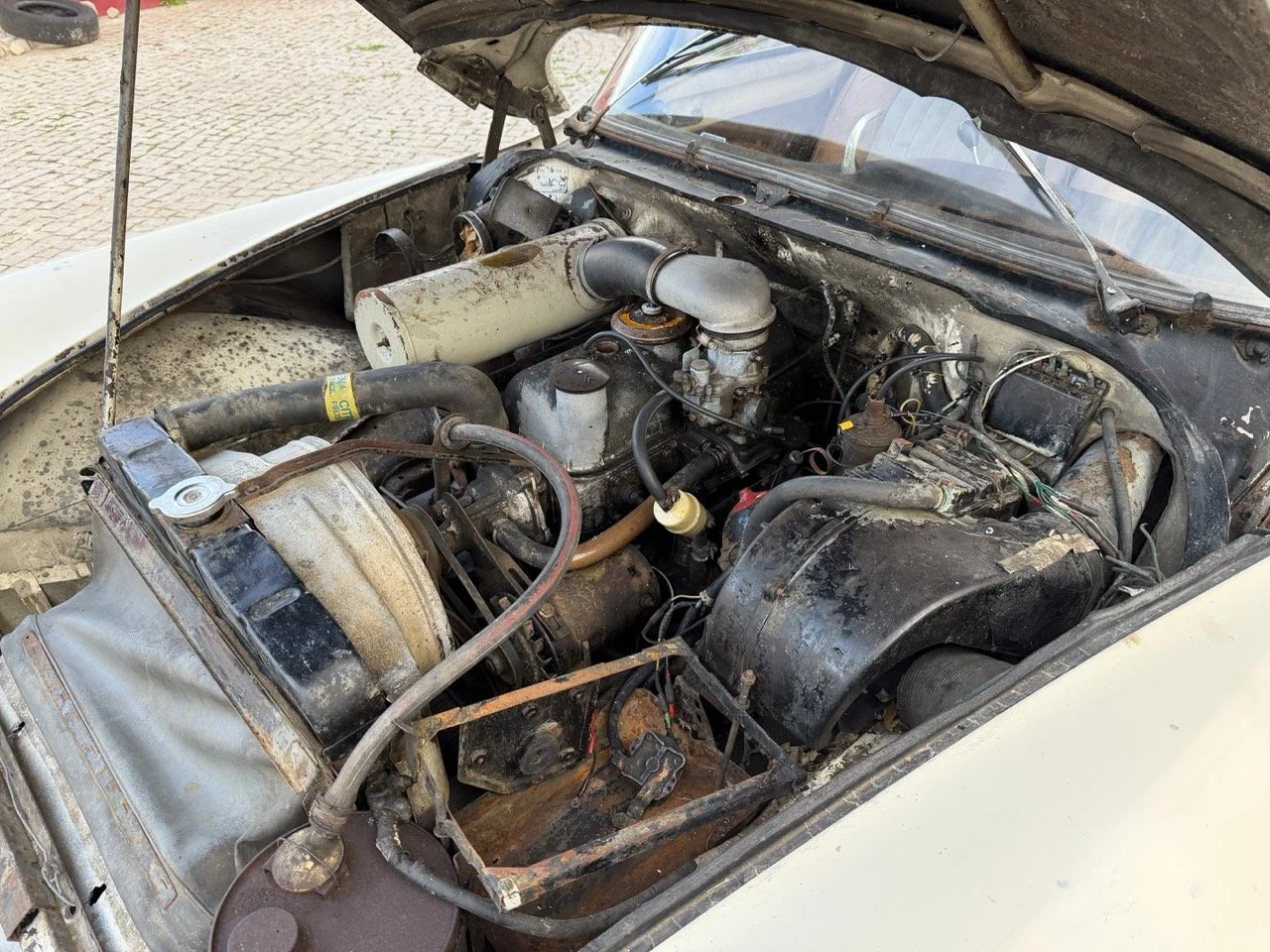 IMG_5959 2 – grande.jpeg